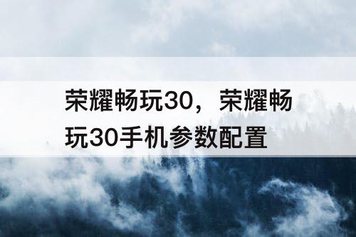 荣耀畅玩30，荣耀畅玩30手机参数配置